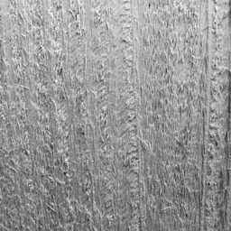 Ground truth: wood grain texture with regular parallel lines, high-frequency repeating pattern