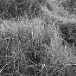 Sample 0: ResShift reconstruction with seed 0, plausible grass texture